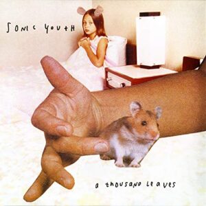 Sonic Youth - A Thousand Leaves