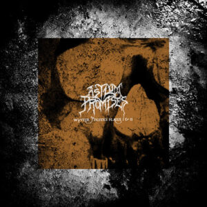 Asylum Promises – Winter Solstice Plague I & II (CD)