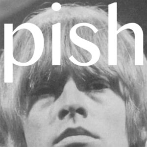 The Brian Jonestown Massacre - Mini Album Thingy Wingy