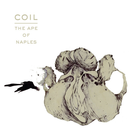 Coil – The Ape Of Naples (CD)