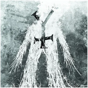 Mz.412 – Svartmyrkr