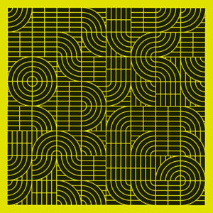 Momus – Pubic Intellectual — An Anthology, 1986–2016