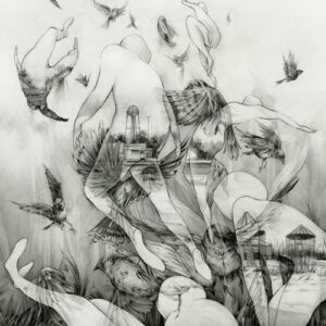 Mono – The Last Dawn