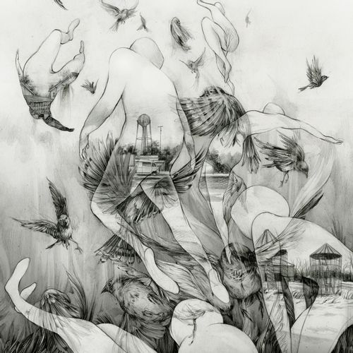 Mono – The Last Dawn