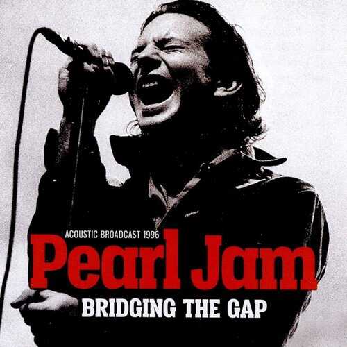Pearl Jam – Bridging The Gap