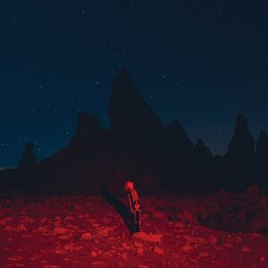 Phoebe Bridgers – Punisher