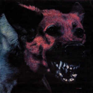 Protomartyr - Under Colour Of Official Right