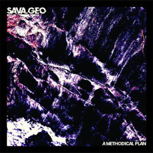 Sava.Geo – A Methodical Plan