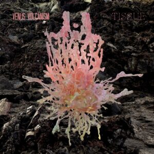 Venus Volcanism - Tissue