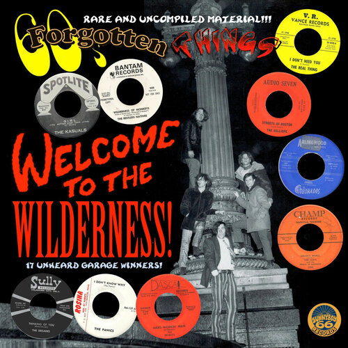 Various – 60's Forgotten Things - Welcome To The Wilderness!
