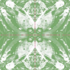 Acid Horse - No Name, No Slogan (Single)