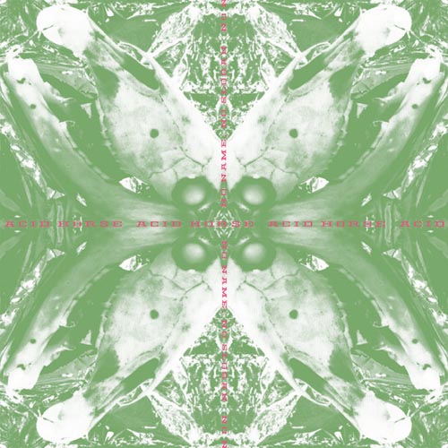 Acid Horse - No Name, No Slogan (Single)