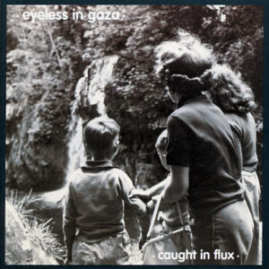 Eyeless In Gaza - Caught In Flux