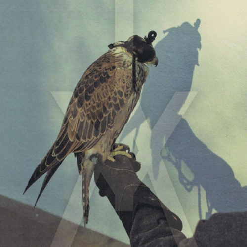 Iceage - You're Nothing