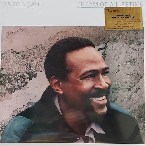 Marvin Gaye - Dream Of A Lifetime