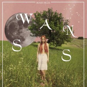 Rosey Blue - Swans