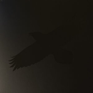 Sigur Rós - Odin's Raven Magic