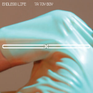 Ta Toy Boy - Endless Life
