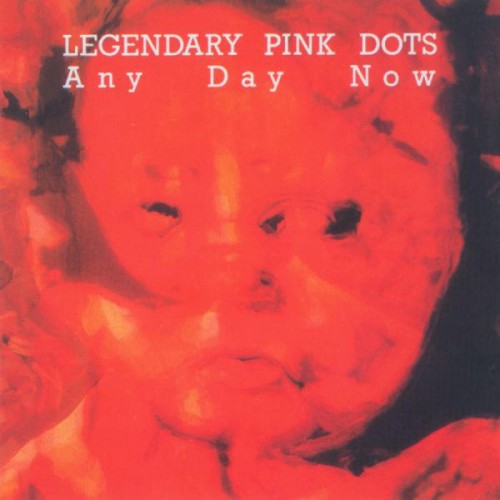 The Legendary Pink Dots - Any Day Now